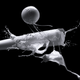 Illustration for article titled 10 Beautifully Creepy Photos That Turn Centrifugal Force Into Art